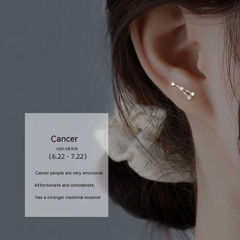 S925 Sterling Silver Constellation Stud Earrings